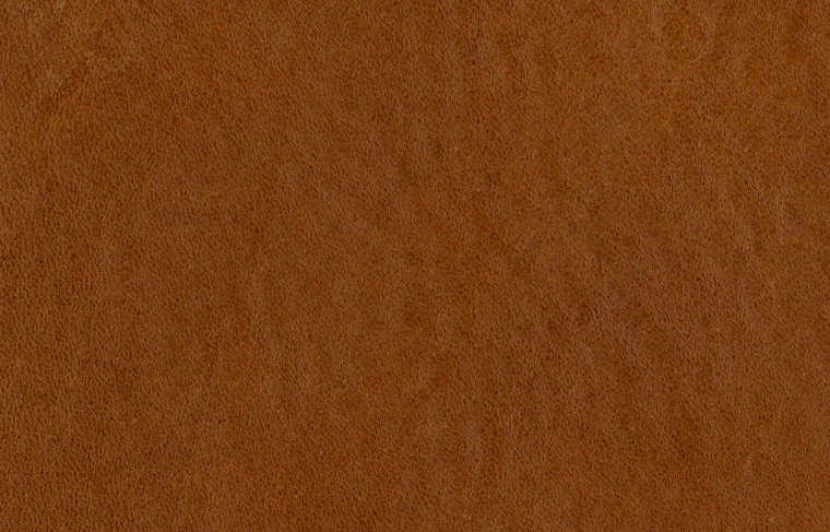 Midj Apelle Tree | кожа Tuscan Hide Fiore C3CU Cuoio. Фото 05