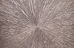 Strato Uniqueness