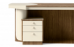 Mascheroni Planet Limited Edition