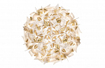 Slamp Veli Aurea Large ceiling wall