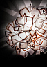 Slamp Clizia ceiling wall