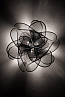 Slamp La belle etoile ceilling wall