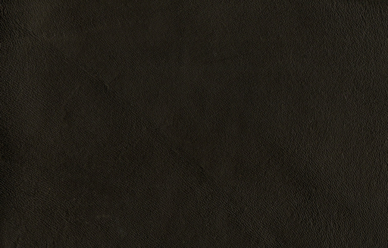 Midj Apelle CT | кожа Tuscan Hide Fiore C3N5 Nero. Фото 03