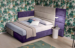 Felis Sommier collection