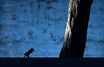 Davide Groppi Buio Spot