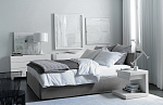 Meridiani Fox
