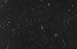 Midj Leo Marble CT | Nero Marquinia/Nero EN