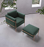 Felis Icon