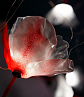 Slamp Poppy