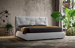 Felis Lenny