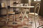 Gebruder Thonet Vienna N.14 венский