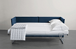 Meridiani Fox