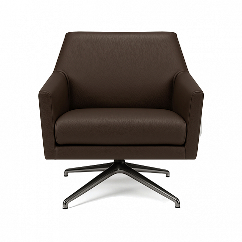 Italia Lounge Diamante | Sirio 35102 Caffe | Carbonio Lucido. Фото 01