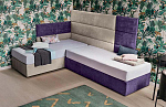 Felis Sommier collection