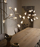 Slamp Tulip suspension