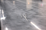 Poltrona Frau Carbon Wing